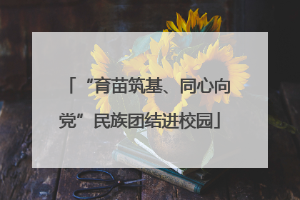 “育苗筑基、同心向党”民族团结进校园